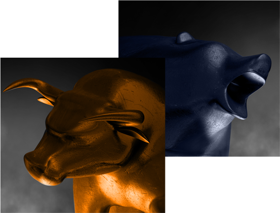 Forex Trading Platform